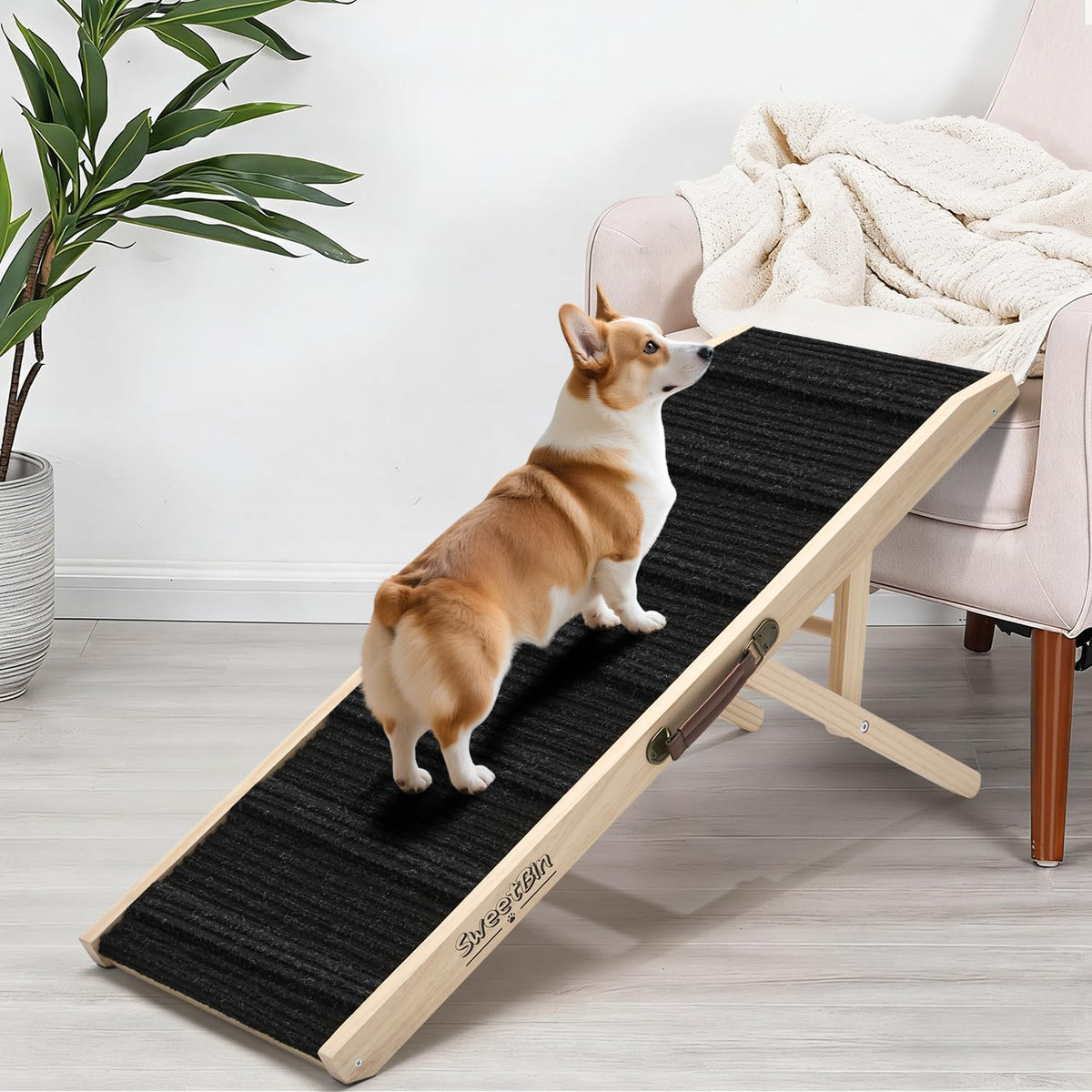 2026 Upgraded Dog Ramp for Couch - Foldable Small Dog Ramp for Bed - 4 Adjustable Height from 12" to 20" - Portable Pet Stairs with Non-Slip Pad - Pet Ramps Use for Low Bed Couch Steps up to 60LBS