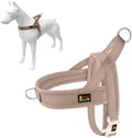 No Pull Dog Harness with Front Clip, Breathable Mesh Padded