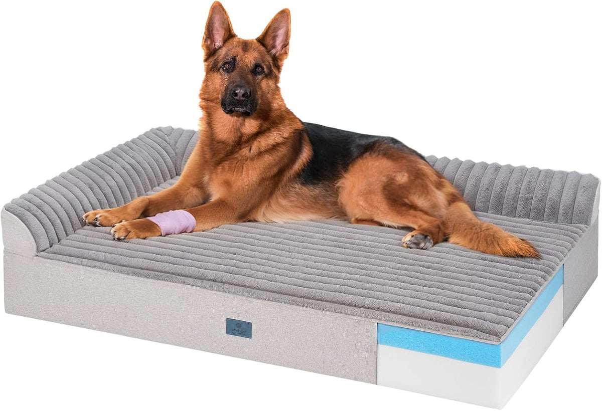 Orthopedic Dog Bed for Senior Dog, 7" XXL Memory Foam Bed with Sides