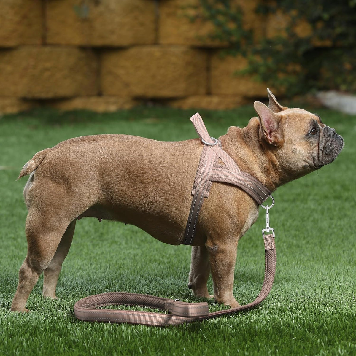 No Pull Dog Harness with Front Clip, Breathable Mesh Padded