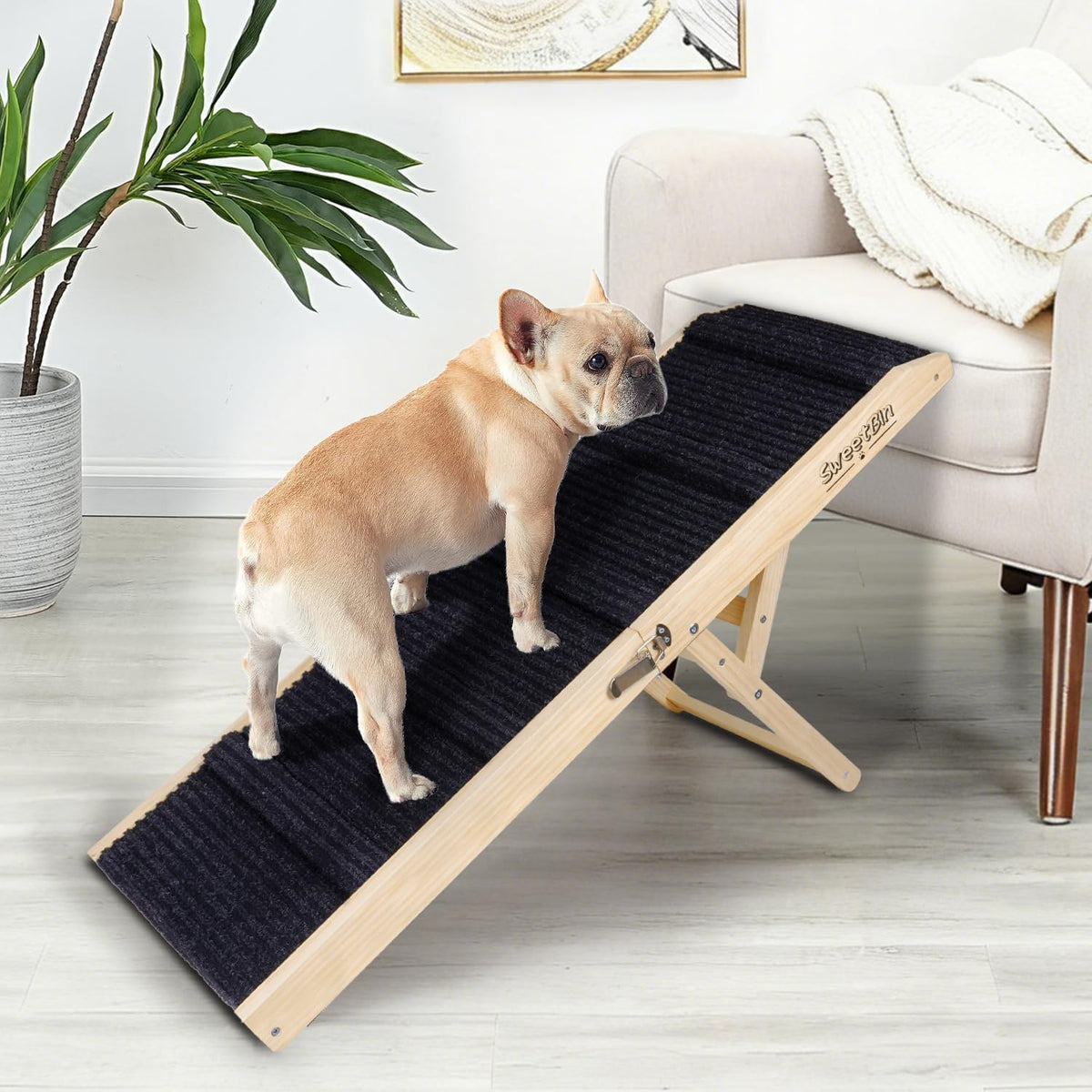 2026 Upgraded Dog Ramp for Couch - Foldable Small Dog Ramp for Bed - 4 Adjustable Height from 12" to 20" - Portable Pet Stairs with Non-Slip Pad - Pet Ramps Use for Low Bed Couch Steps up to 60LBS