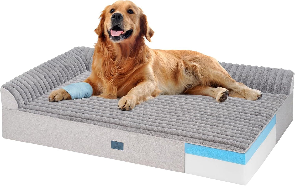 Orthopedic Dog Bed for Senior Dog, 7" XXL Memory Foam Bed with Sides