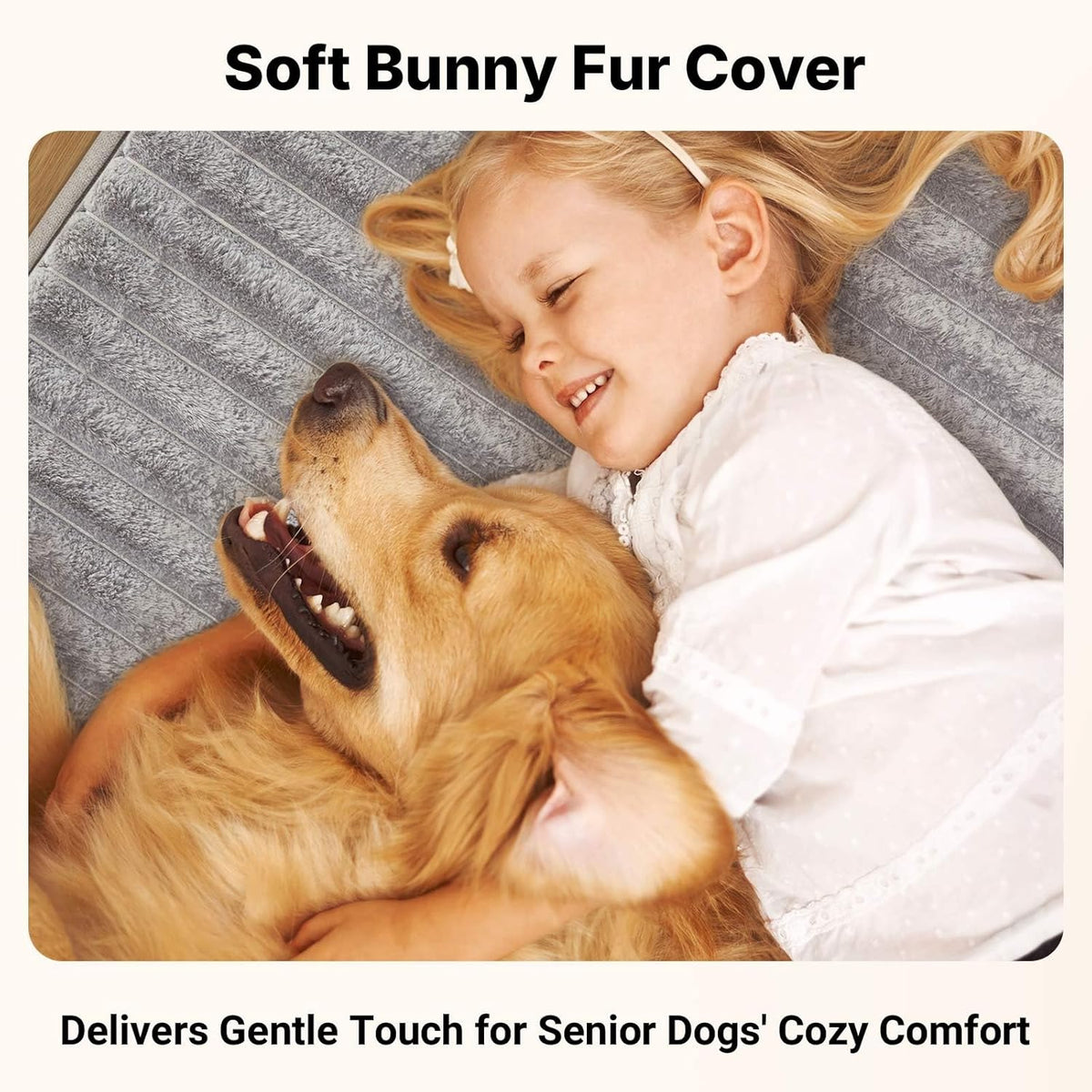 Orthopedic Dog Bed for Senior Dog, 7" XXL Memory Foam Bed with Sides
